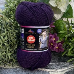 Himalaya Everyday Worsted 70611