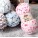 Himalaya / Dolphin Baby / Colors